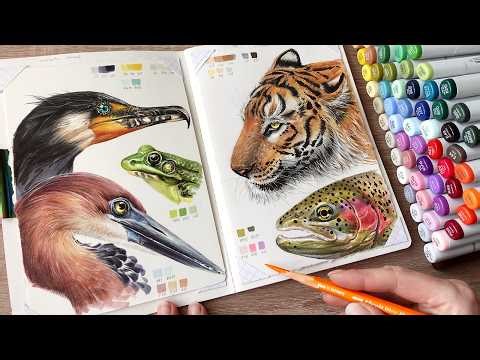 Drawing animals with Copic Markers! 🐸 + colored pencils