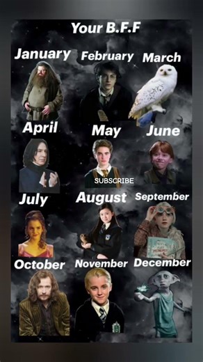 CHOOSE YOUR BFF, Harry Potter meme#shorts #funny #memes #harrypotter