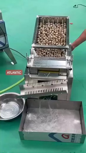 Machine à Éplucher les Œufs de Caille : Fonctionnement