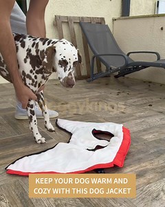 Keep your Furry 🐕 friend warm with this Waterproof Winter Dog Jacket❤️ ✓ Built in Harness ✓ WaterProof ✓ WindProof ✓ Warm and Cozy Get yours 50%OFF 👉 https://doggykings.com/products/dogjacket | DoggyKings