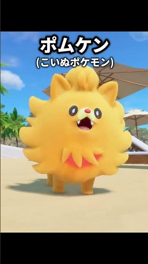 ポケモン最新作の御三家の特徴が最高に素敵な理由 | ポケモン風波/ウインド/ウェーブ