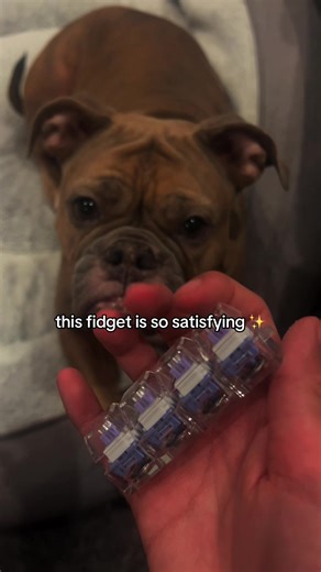 the price for this fidget is INSANE 👹 #fyp #trending #viral #fidgettoys #fidgets
