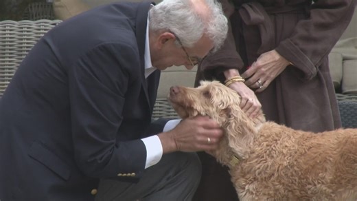 A warning for pet owners about pool covers