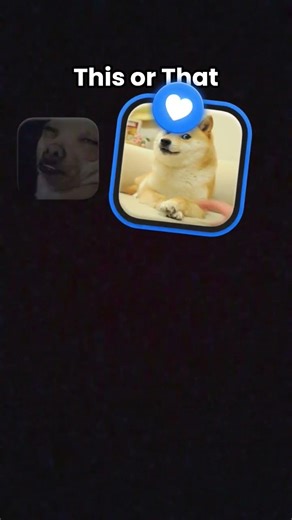 los chems el mejor meme de perros