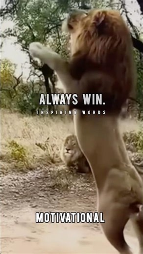 A grateful heart and pure intentions always win. || Motivational #shorts #motivationdaily