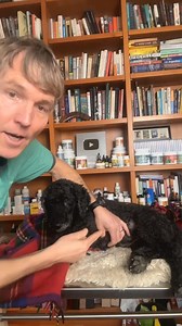 Dog with a fatty tumour (Lipoma) This new Topical Home Remedy can help! 📘 Dr. Jones' Free Book: http://veterinarysecrets.com/news/ #lipoma #tumor #dogcancer #lump #homeremedies #dogs #doghealth | Dr. Andrew Jones - Veterinary Secrets