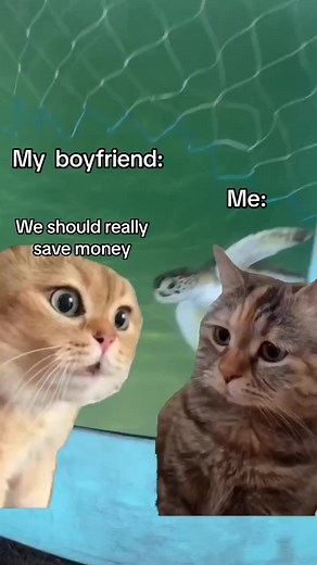 All of them, please 😍 You can help our patients continue their recovery with a symbolic adoption: https://shorturl.at/bdBIJ | Sea Turtle, Inc