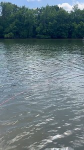 Jeep Cherokee Found Sunk Underwater! | Adam Brown Adventures