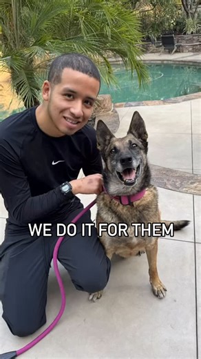 358 reactions · 30 shares | Mission K9 Rescue, based in Houston, TX,...