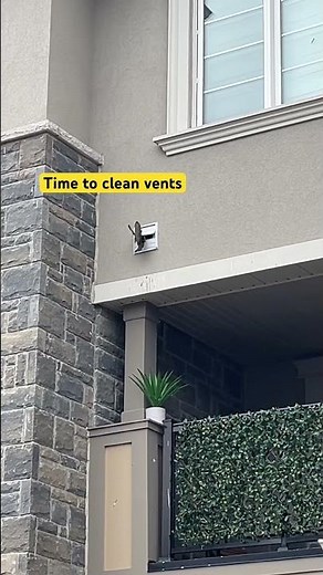 Birds Took Over My Dryer Vent 🐦
