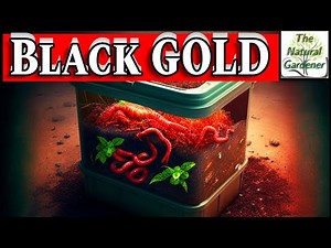 Unlocking the Secrets of Worm Castings: Pros and Cons