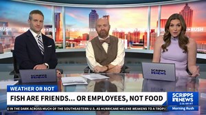 Octopus Boss Tactics: Leading the Underwater Hunt