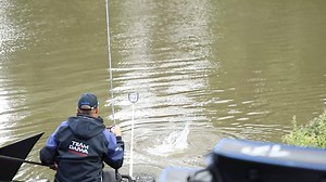 14K views · 221 reactions | This beauty helped Iain Jennings lift the Wychavon Championship trophy. What a fish! Keep your eye out for the full edited video in a few weeks. ;-) | Catch More Media | Facebook