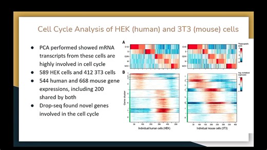BIOC3003  - Workshop-s1-full (3)