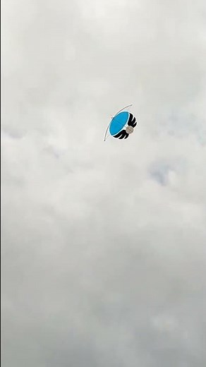 Mantap..!! Ram raman mini terbang lincah banget #shorts