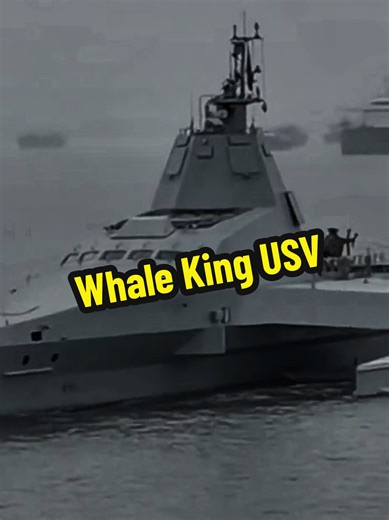 虎鲸 滨海战斗舰 #USV