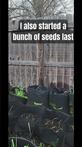 Early Spring Garden Tour Update 🌱 | What’s Growing Right Now | Container Gardening #gardentour