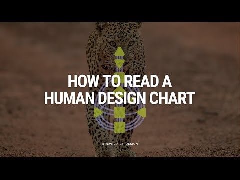 Learn how to read a human design chart in under five minutes 👀 