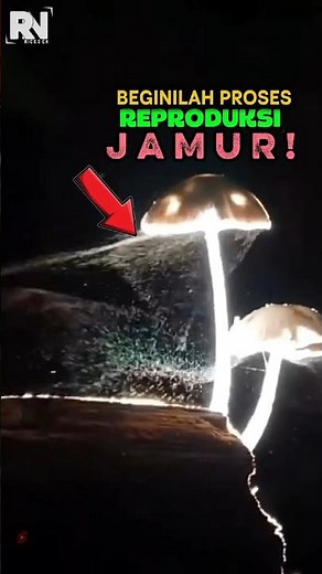 A Very Beautiful Process to Watch