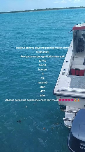 Daphnie 504 on TikTok