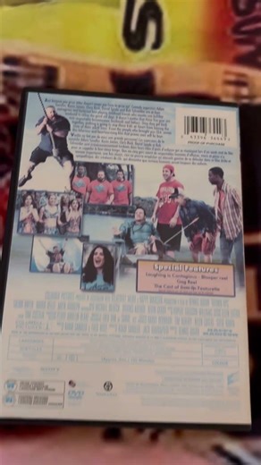 Grown Ups (2010) DVD Overview