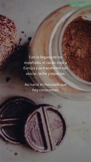 Cacao: una historia más allá de la alta cocina