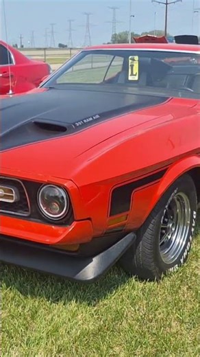Mach 1 Mustang Ford 351