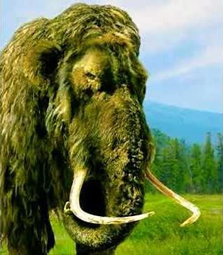 Woolly Mammoth Trumpet 🐘 🔊