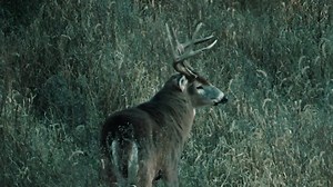 47K views · 440 reactions | There’s a storm coming... Red Rising Television has joined the Waypoint family. Full length episodes are now available for streaming. Binge away. | Waypoint TV | Facebook