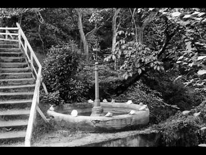 Old Photographs Auchmountain Glen Greenock Scotland