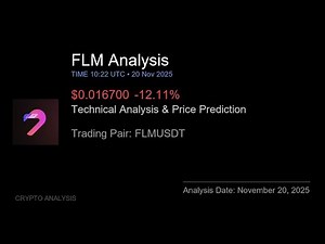 FLM (FLMUSDT) Technical Analysis - Price Prediction & Buy or Sell November 20, 2025