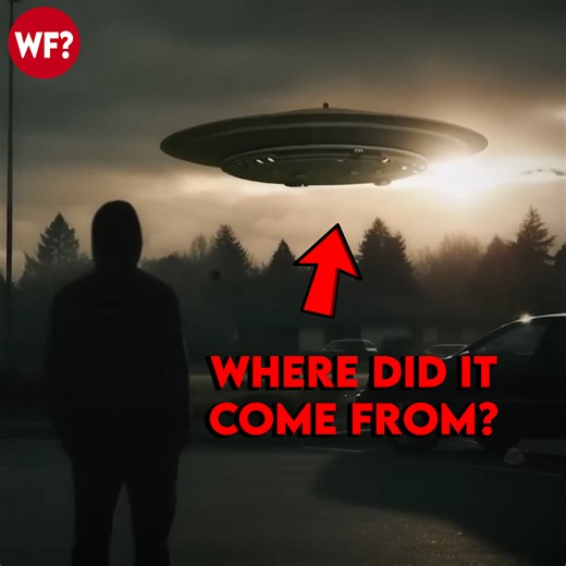 279K views · 8.3K reactions | What Is An Ultraterrestrial? | The Why Files | Facebook