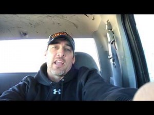 Coyote Calling During Breeding Season? Coyote Distress Sound or Coyote Vocalization Howl?