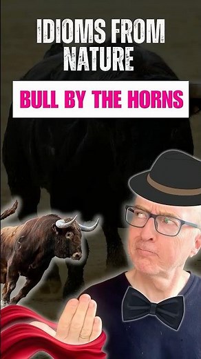 Idioms from Nature - Bull by the Horns