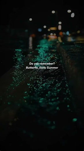 Secondhand Serenade - Your Call (Lyrics) #lyrics #shorts #secondhandserenade #emo #punk #edit #fyp