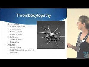 Diagnosing & Treating Common Coagulation Problems