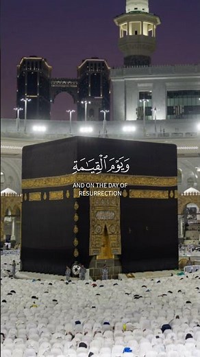 أفتؤمنون ببعض الكتاب وتكفرون ببعض سورة البقرة بصوت القارى ياسر الدوسري #iquranhq #quran #duet #مسلم