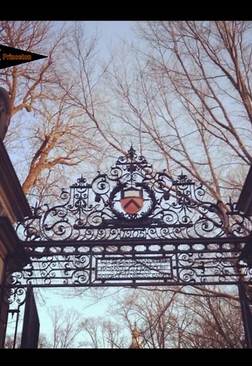 Princeton Acceptance: Your Journey Starts Here!