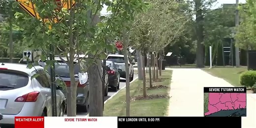 Breaking down the urban heat island effect