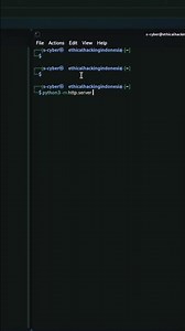 Simple Python Server