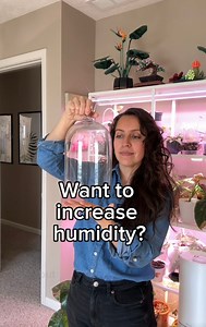 141K views · 3.4K reactions | You can absolutely grow many plants in...