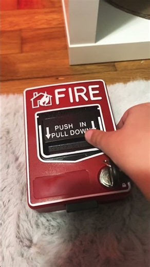 Pulling the fire alarm (test)
