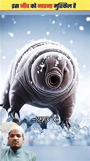 wonderful creation of ALLHA | Tardigrade#shorts #shortsvideo