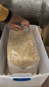 9.5K views · 93 reactions | Sphagnum moss is commonly used when growing succulents or orchids indoors. It is light and holds moisture very well. Sphagnum moss is a plant that can be used as an amendment or replacement of soil in living walls because of it's unique chemical composition which can hold up to 20 times its weight in water. #moss | Foraging Fosters | Facebook