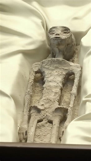 How Scientists Search for Signs of Alien Life