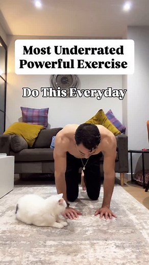 3.5K reactions · 95 comments | The bird dog exercise improves core stability, balance and coordination while strengthening the lower back, glutes, and shoulders. It’s great for posture and preventing back pain. How many times? 4 sets of 10 reps per side. SUBSCRIBE to my Instagram! #homeworkout #fitnessmotivation #beginnerworkout | Thefitchampion | Facebook