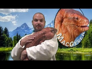 ☜ My Lizard Is Smarter Than Your Dog!