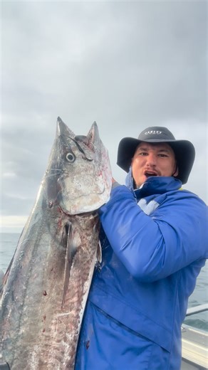 Mitch 🤙 on Instagram: "Take me back ! When the Spaniards light up 💥 The Shimano Speedmaster 12 handled it with ease — drag screaming, job done. @shimano.fish @shimanofishau #shimanofishing #shimanoaustralia #fishshimano #spanishmackerel #tweedheadsfishing"