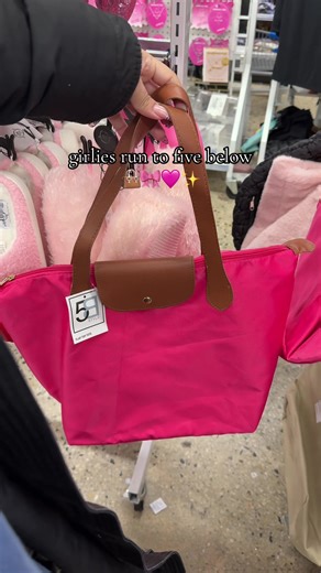 Affordable Longchamp Bags at Five Below