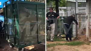 Jeff Lowe Evicted From 'Tiger King' Park